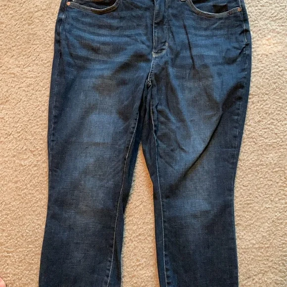 Judy Blue Los Angeles. Skinny Fit. Blue Jeans. Size 14w. - Picture 5 of 16